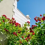Andjelka-3 By Interhome * Trogir
