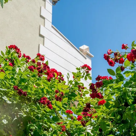 Apartment Villa Andjelka-3 By Interhome * Trogir